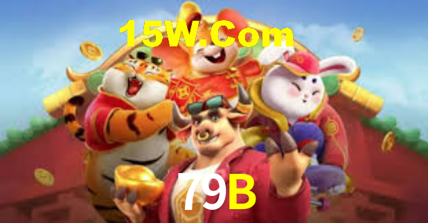 Premium Interface 79B